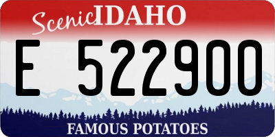 ID license plate E522900