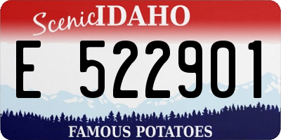 ID license plate E522901
