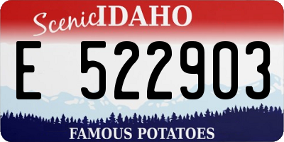 ID license plate E522903