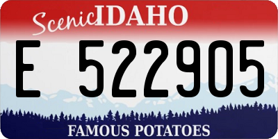 ID license plate E522905