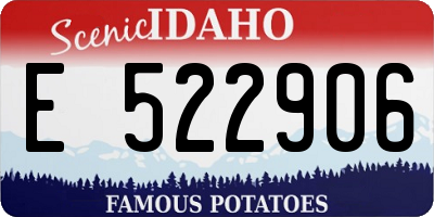 ID license plate E522906