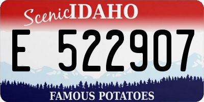 ID license plate E522907