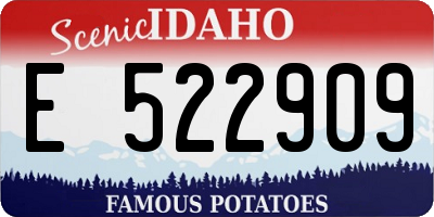 ID license plate E522909