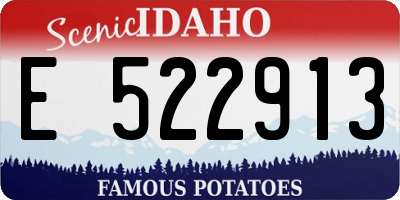 ID license plate E522913