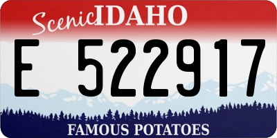 ID license plate E522917