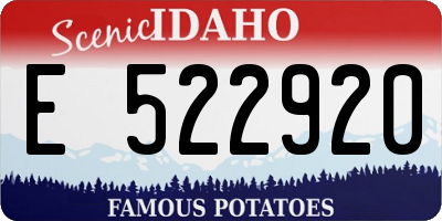 ID license plate E522920
