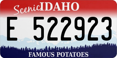 ID license plate E522923