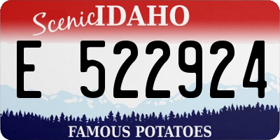 ID license plate E522924