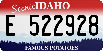 ID license plate E522928