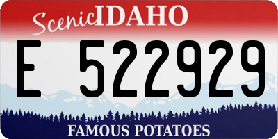 ID license plate E522929