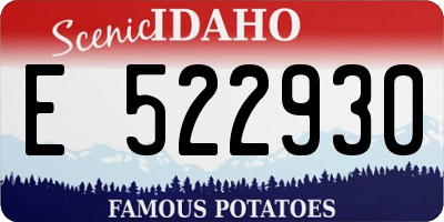 ID license plate E522930