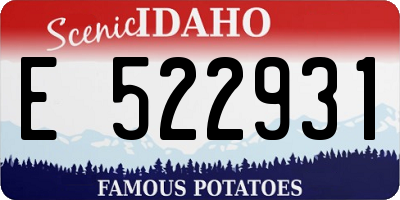 ID license plate E522931