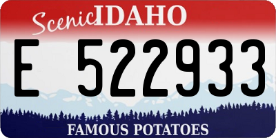 ID license plate E522933