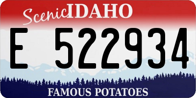 ID license plate E522934