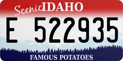 ID license plate E522935