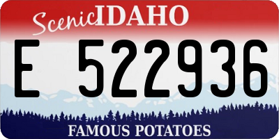 ID license plate E522936