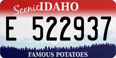 ID license plate E522937