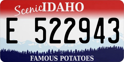 ID license plate E522943