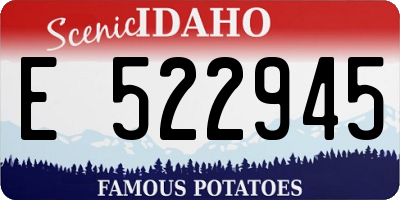 ID license plate E522945