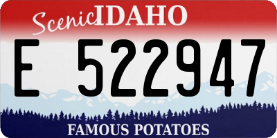 ID license plate E522947