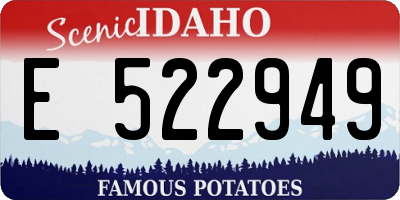 ID license plate E522949
