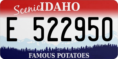 ID license plate E522950