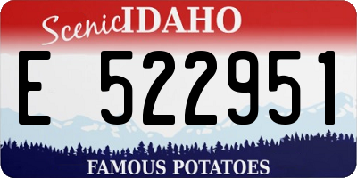 ID license plate E522951