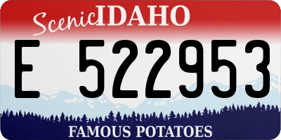 ID license plate E522953