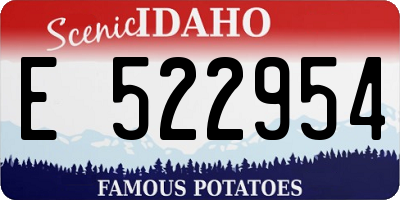ID license plate E522954