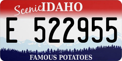 ID license plate E522955