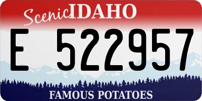 ID license plate E522957