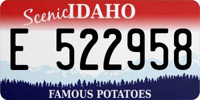 ID license plate E522958