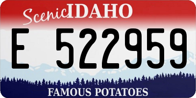 ID license plate E522959