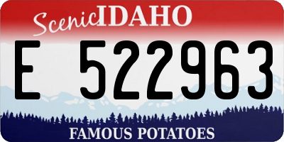 ID license plate E522963