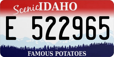ID license plate E522965