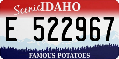 ID license plate E522967