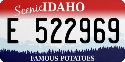 ID license plate E522969
