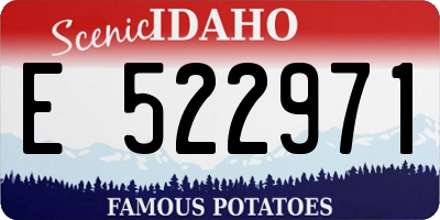 ID license plate E522971