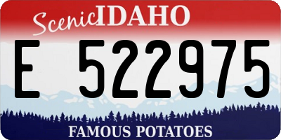 ID license plate E522975