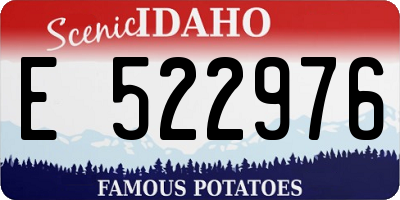ID license plate E522976