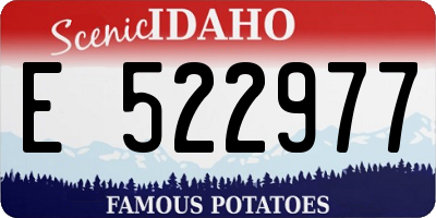 ID license plate E522977