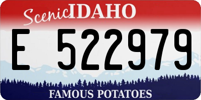ID license plate E522979