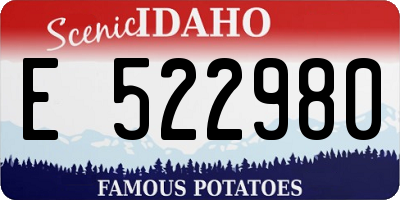 ID license plate E522980
