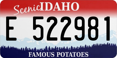 ID license plate E522981