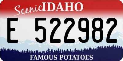 ID license plate E522982