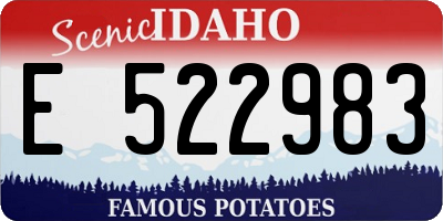 ID license plate E522983