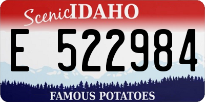 ID license plate E522984