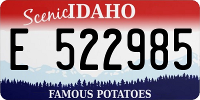 ID license plate E522985