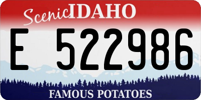 ID license plate E522986