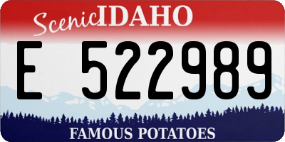 ID license plate E522989